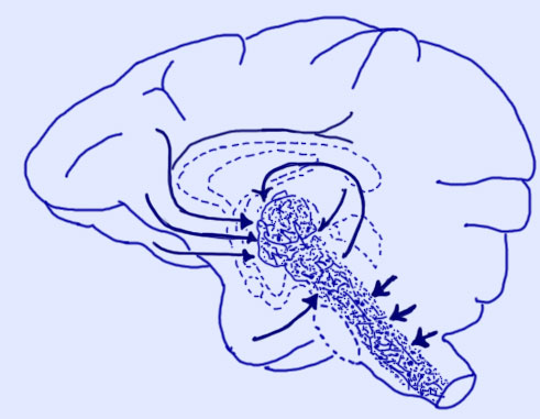 ���� ���� ��������� �������