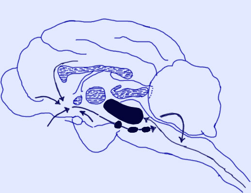 ���� ����� �������