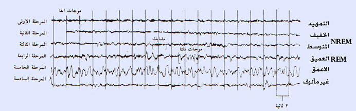 ���� ����� ������ �� ������� ����