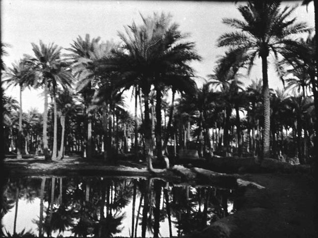 عين التمر 1909